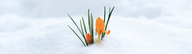 Bible Lens November 9 15 2020 Christian Science Sentinel