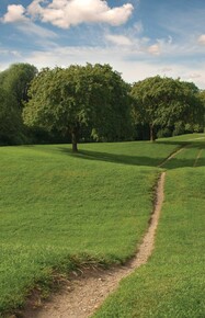 path through a meadow