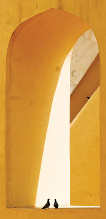 two birds on a windowsill