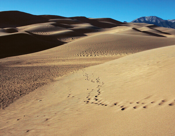 Sandy steps, Great Sand Dunes National Park and Preserve, San Luis Valley, Colorado