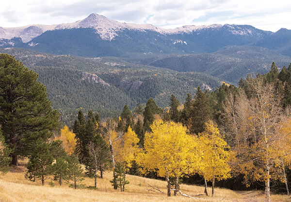 View of Pikes Peak from Mueller State Park, Divide, Colorado, US